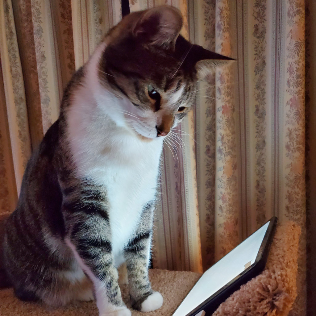 Creative Designer Portfolio